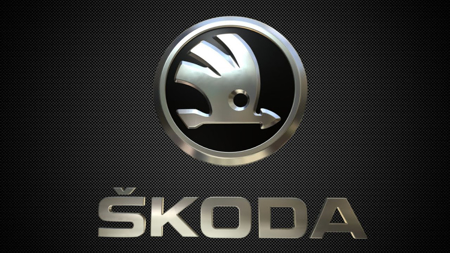 Picture for category Skoda Hidden Feature